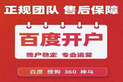 SEM公司案例分析：搜索引擎优化策略与执行